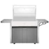Kép 1/3 - Beefeater 1500-as sorozat - beépíthető 5 égős grill és oldalsó égős grillhez kocsi BFBDTR1550GA